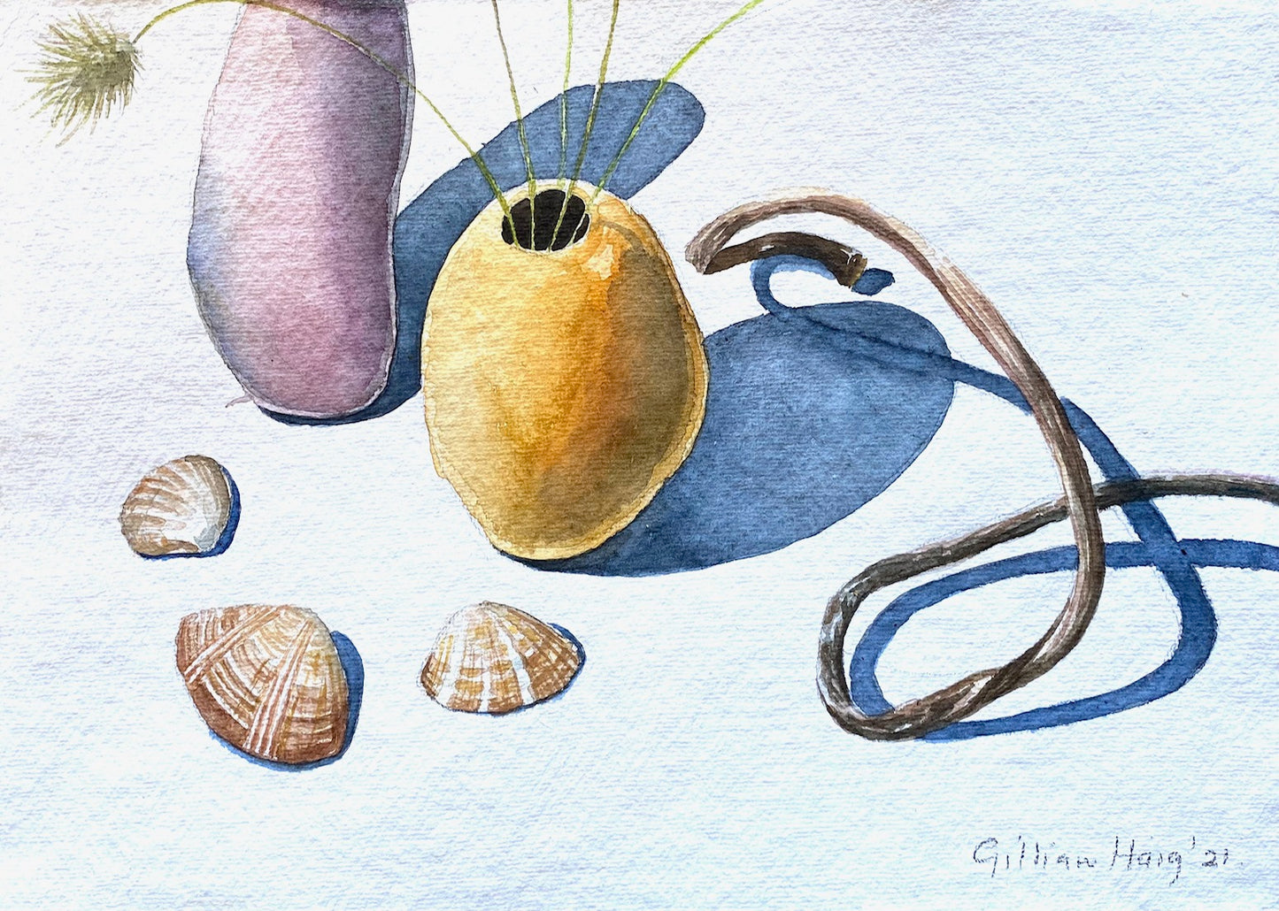 Seaweed and Ceramic Vessels III