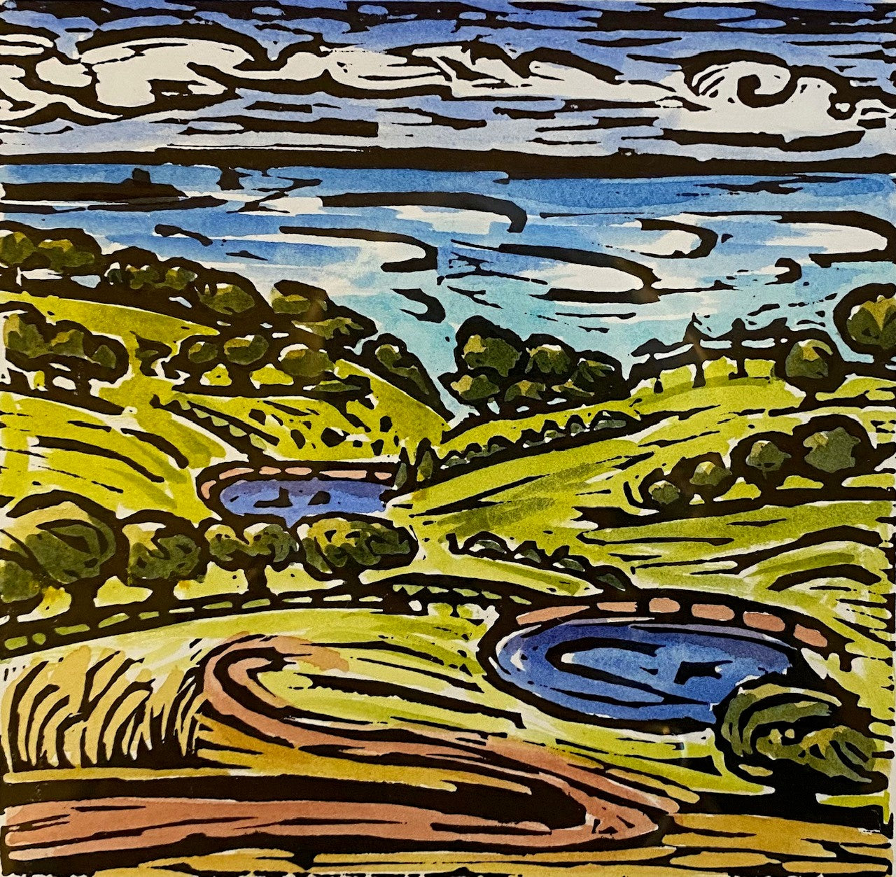 Tucks Road Waterholes